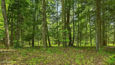 Land Bordering Clapper Forest State