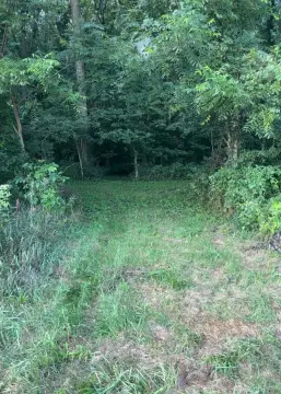 Timbered Hunting Land