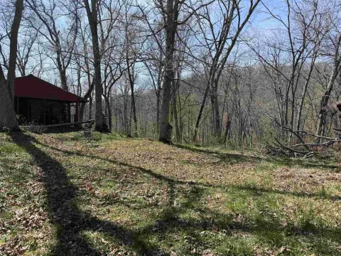 Wooded Hunting Land with Cabin