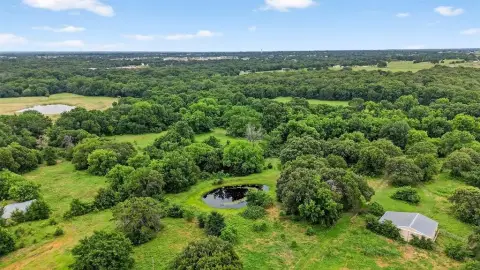 59+ Acres in Whitesboro, TX