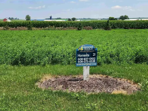 Residential Lot in Dane, WI