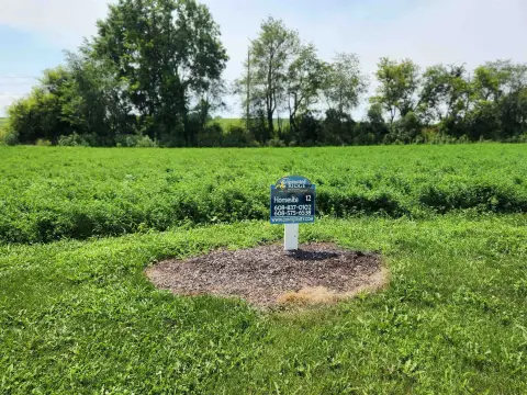 Residential Lot in Dane, WI