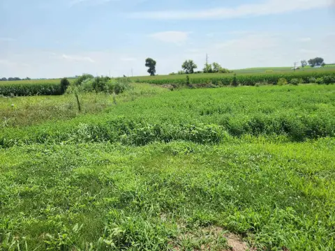 Residential Lot in Dane, WI