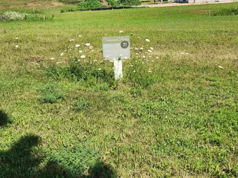 Residential Lot in Savannah Parks