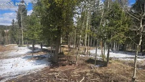 Land in Trout Haven