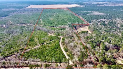162 Acre Benton Land Tract