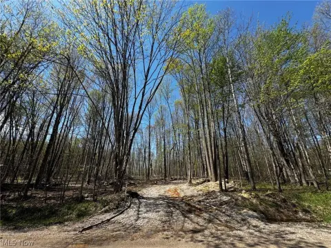 Kingsville, OH Wooded Land Parcel