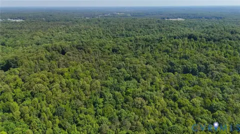 Large Wooded Land Parcel