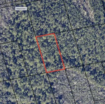 Mims, Florida Land Parcel