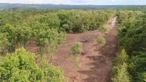 Recreational Hunting Land Parcel