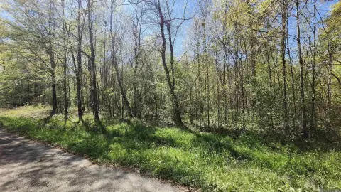Residential Land in Baton Rouge
