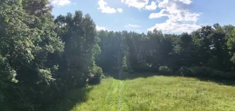 Hunting Land with Open Meadow