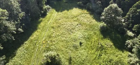 Wooded Recreational Acreage with Meadow