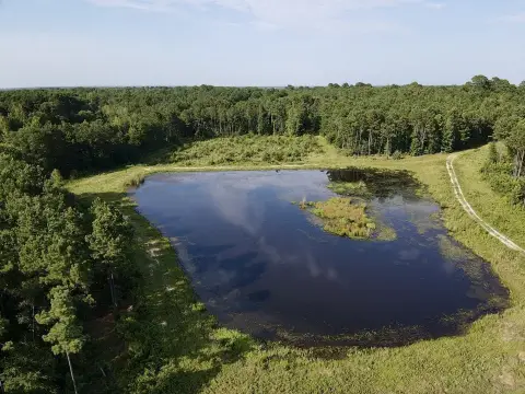 Hunting and Recreation Tract with Highway Frontage