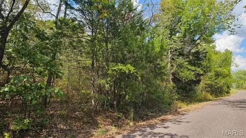Lake Sherwood Wooded Residential Land