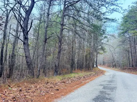 Land Tracts in Munford, AL
