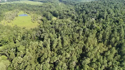 Recreational Land in Beech Island