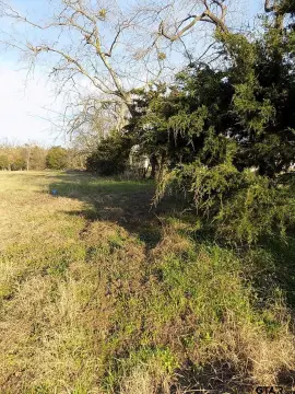 Residential Land Near Emory, TX