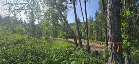 Coram, MT Land For Sale