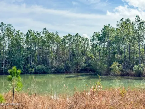 Ocean Springs Wooded Lot