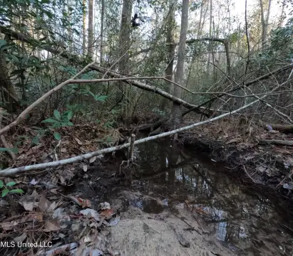 Versatile 46-Acre Property in Columbia, MS