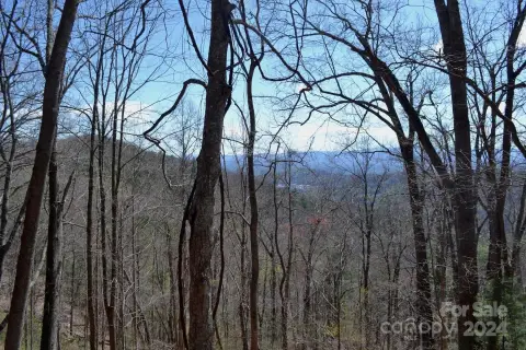 Asheville Mountain View Lot