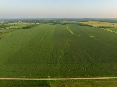 Productive Row Crop Farm