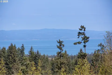 Port Angeles View Lot