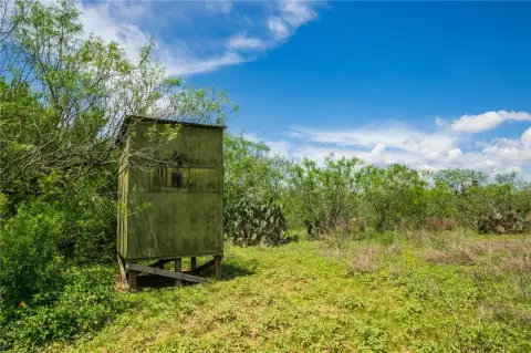 Realitos, TX Hunting Land