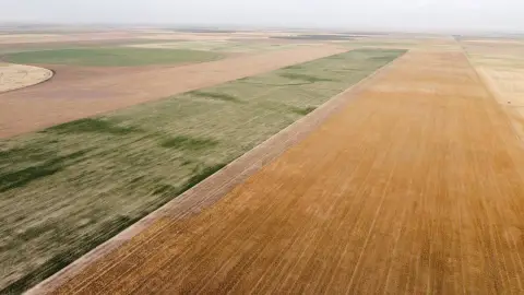 Dryland Cropland Farm