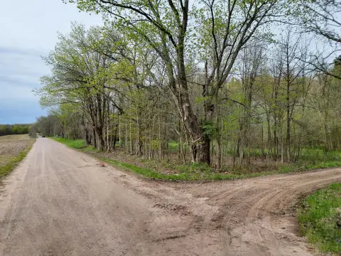 Lowell, MI 3-Acre Build Site