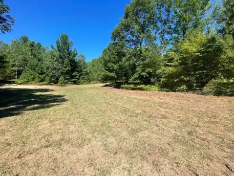 Heavily Wooded Recreational Land