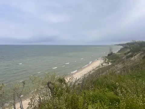South Haven Land Opportunity