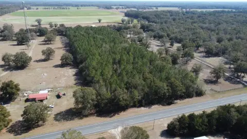 Old Town Land with Pines