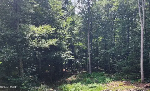 Land in Dingmans Ferry, PA