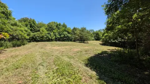 Recreational Land with Private Drive