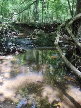 Timbered Hunting Land with Creek