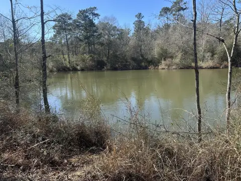 Lakefront Residential Land in Hattiesburg