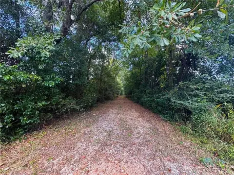 Citronelle Land Ready For New