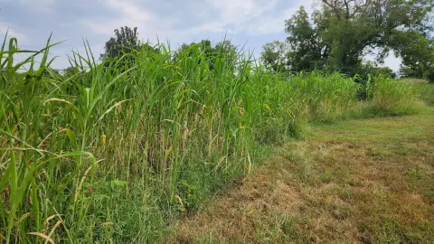 Improved Hunting Land with Stocked Pond