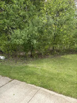 Land in Lakeview Location