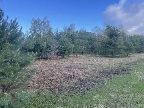 Land Parcel in Shelby, MI