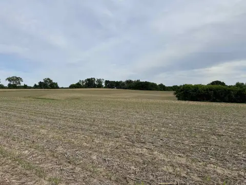 Open Agricultural Land Parcel