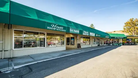 Strip Mall with Multiple Tenancies