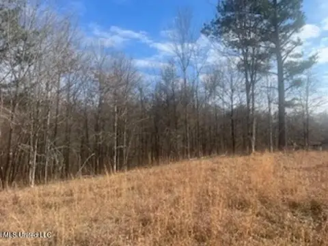 29 Acres in Desoto County