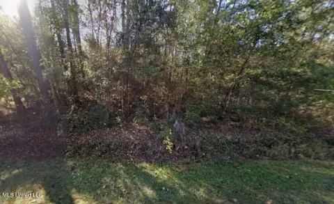 Wooded Lots Near Gulf Coast