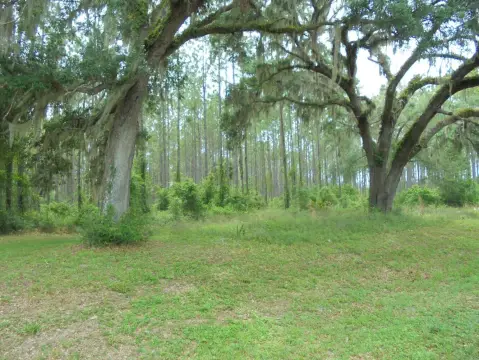 Vacant Mixed-Use Land Parcel