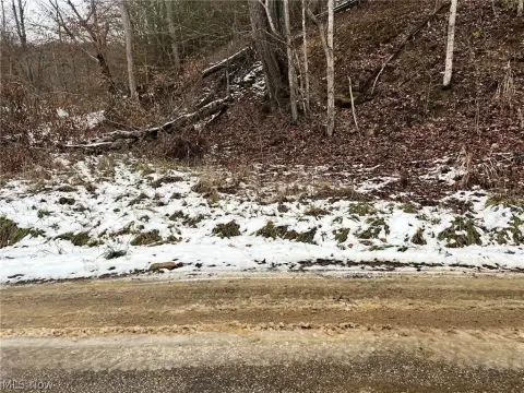 Hilly Hunting Land