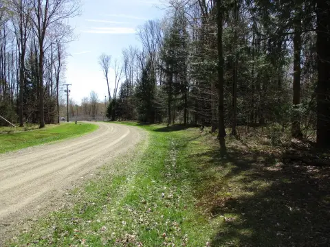 Wooded Hunting Land