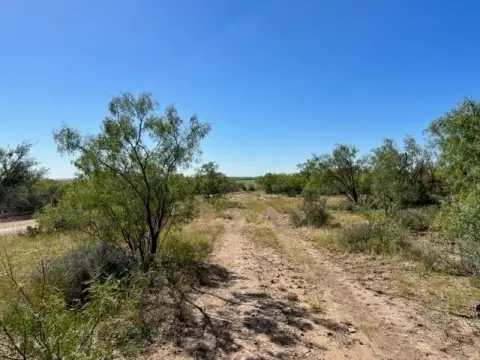Hunting and Recreational Land